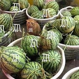 从笑料到热议：2021年娱乐圈那些刷屏的吃瓜瞬间